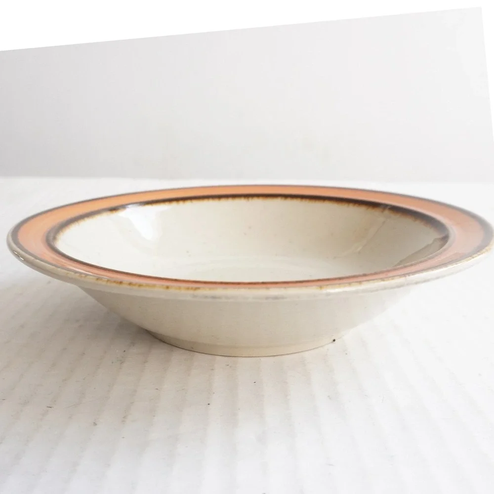 VTG Sango Rainbow 653 Caroline MCM Cereal Soup Bowl Dishwasher Oven Safe‎ Japan